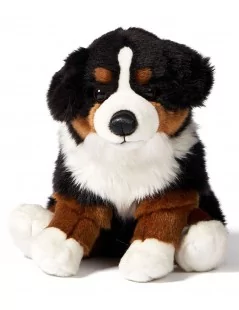 Bouvier bernois, assis - 25 cm - 