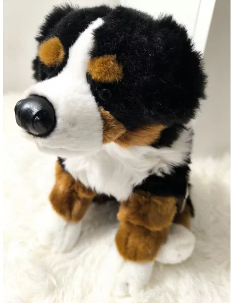 Bouvier bernois, assis - 25 cm - 